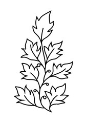 black and white leaf design
