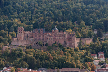 Obraz premium panoramic view of Heidelberg from the Philosophenweg - old town of Heidelberg with the castle and the Old Bridge, Baden Wuerttemberg, Germany