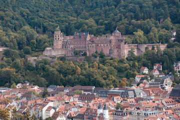 panoramic view of Heidelberg from the Philosophenweg - old town of Heidelberg with the castle and the Old Bridge, Baden Wuerttemberg, Germany