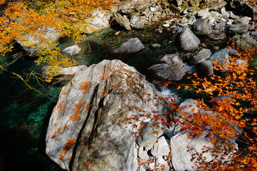 Clear stream of Niyodo River with autumn leaves, Niyodogawa-cho, Agawa district, Kochi Prefecture, Japan