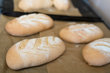 Baking in the bakery. Food concept