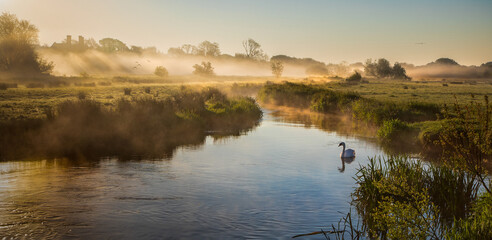 Sunrise sunlight breaking through mist over house and onto still and tranquil river with single swan and birds flying