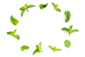 Frame of green mint leaves, top view. Aroma herbs background