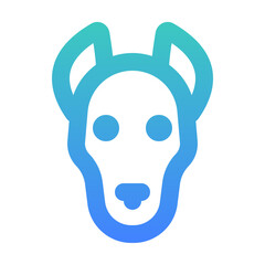 kangaroo