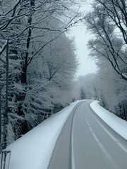Obraz premium snowy road in the dark winter