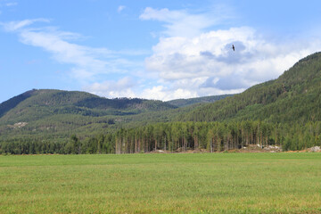 Fototapeta na wymiar Panorama Landscape of Fyresdal, South Norway