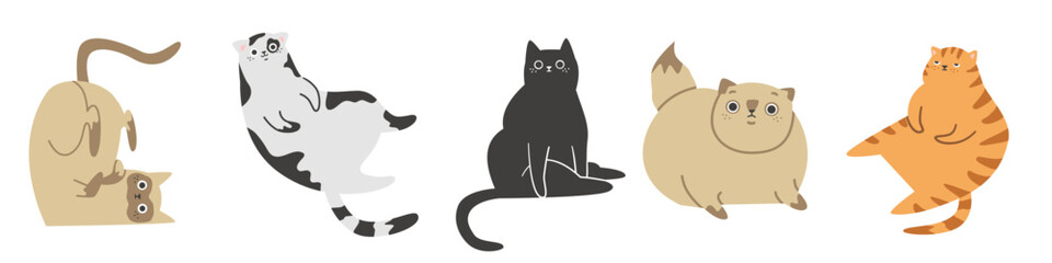 Cute vector illustration. Different cats on white background. Siamese, Persian, red and striped cats. Cute fat cats. 