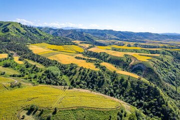 field In Xinjiang China