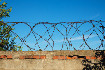 Barbed wire over a brick fence against a blue sky on a sunny day. On the left side of the green leaves of the tree