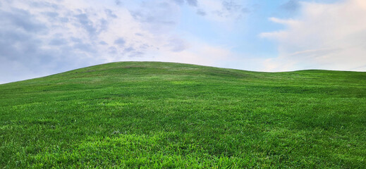 Beautiful field and sky. Clean photo. Сlear horizon. Screensaver. Wallpaper.