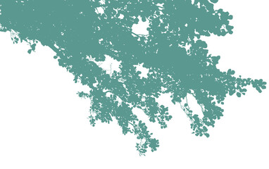 Branches silhouette.  Isolated design element without background, PNG.