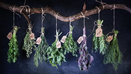 Hanging bunches of edible herbs with signed tags on a curved wooden crossbar, closeup on black background © Nymphalyda