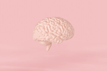 Human brain right hemisphere model isolated on pink background close up. The concept of neurosurgery, health care