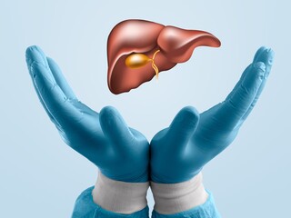 World hepatitis day. Adult hands holding donation liver on background. Awareness of prevention and...