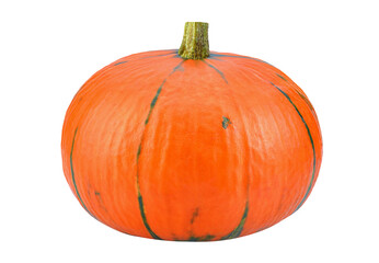 Pumpkin isolated on transparent png