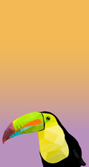 toucan bird on a branch