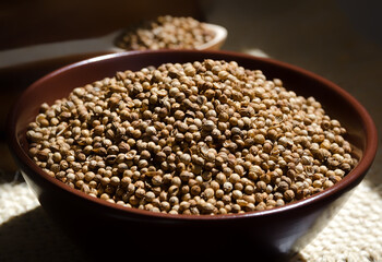 Coriander in a ceramic bowl in the rays of sunlight.