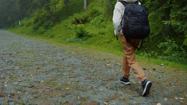 Footage of woman with backpack hiking in the forest looking around. Female hiker rambling through the woods. Free travelling concept.