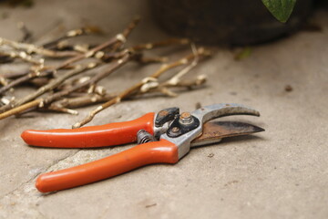 Pruning shears