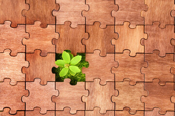 Jigsaw puzzle with fresh grass and small plant