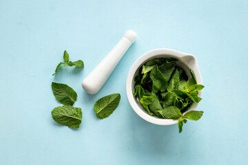 Healing herbs - green mint leaves in mortar for medicine