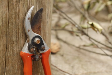 Pruning shears