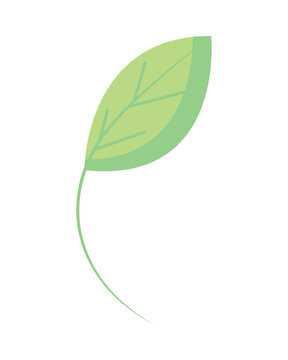 green leaf icon