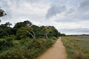 Paysage de bord de mer en baie de Paimpol