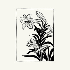 Flowers, Botanica illustration. Black ink, line, doodle style. 
