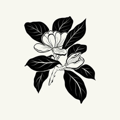 Flowers, Botanica illustration. Black ink, line, doodle style. 