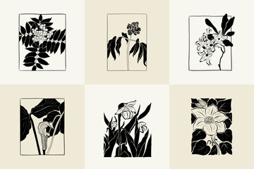 Fototapeta na wymiar Flowers, Botanica illustration collection. Black ink, line, doodle style. 