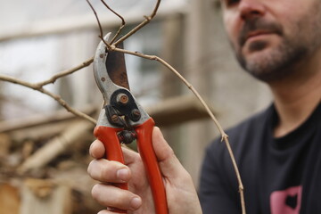 Pruning shears