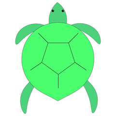Sea turtle icon. Turtle animal top view filled vector sign. graphic sea turtle. vector illustration of sea turtle.