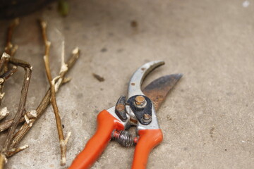 Pruning shears
