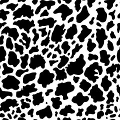 Animal background. Cow Hide, Holstein cattle texture. Mammals Fur. Print skin. Predator Camouflage. Printable Vector illustration.