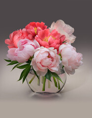 Bouquet of light pink and bright pink peonies in a transparent glass vase isolated on a grey gradient background.