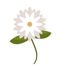 white flower icon
