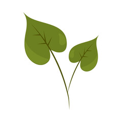 leaf plant icon