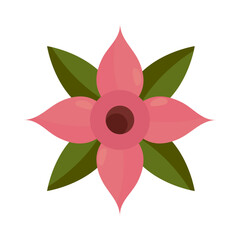 pink flower icon