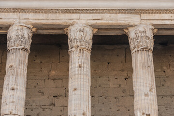 Fototapeta premium arch of constantine in rome italy renaissance art hisoty in italy europe and roman empire with olive trees and roman ruins