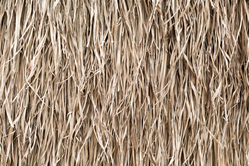Straw texture. Tropic roof summer background.