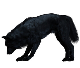 Naklejka premium Dark wolf 3D render