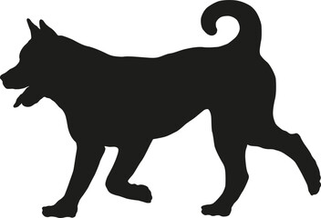 Black dog silhouette. Running american akita puppy. Pet animals. Isolated on a white background.