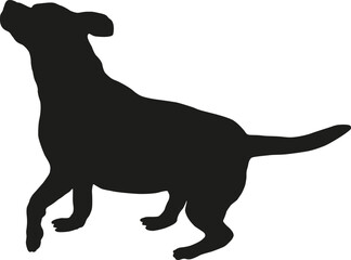 Playing english beagle puppy. Black dog silhouette. Pet animals. Isolated on a white background.