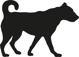 Standing multibred dog puppy. Black dog silhouette. Pet animals. Isolated on a white background.