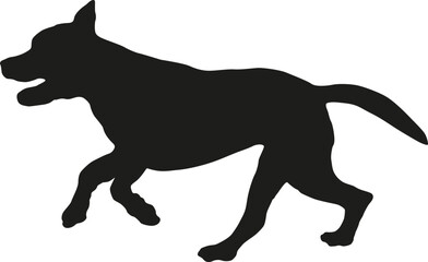 Running and jumping american pit bull terrier puppy. Black dog silhouette. Pet animals. Isolated on a white background.