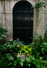 Garden wall and antique door,the entrance is full of plants,Feel in the midst of nature in the tropical forest,concept of nature therapy.
