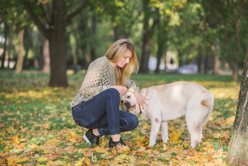 A beautiful blonde is sitting in yellow leaves in a park and playing with her labrador.