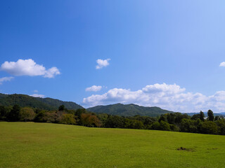 Fototapeta na wymiar 若草山（奈良県）　秋空と山と芝生