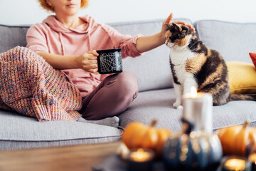 Cropped woman in plaid drinking hot tea from Halloween theme mug and stroking multicolored cat on...